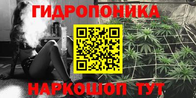 jwh Будённовск