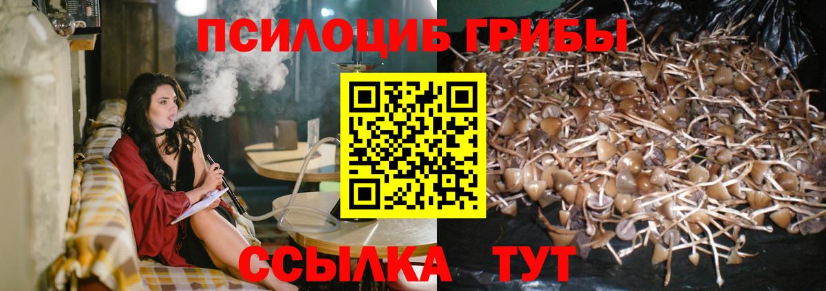 Кызыл  как найти закладки  Вход с VPN  Галлюциногенные грибы Magic Shrooms 