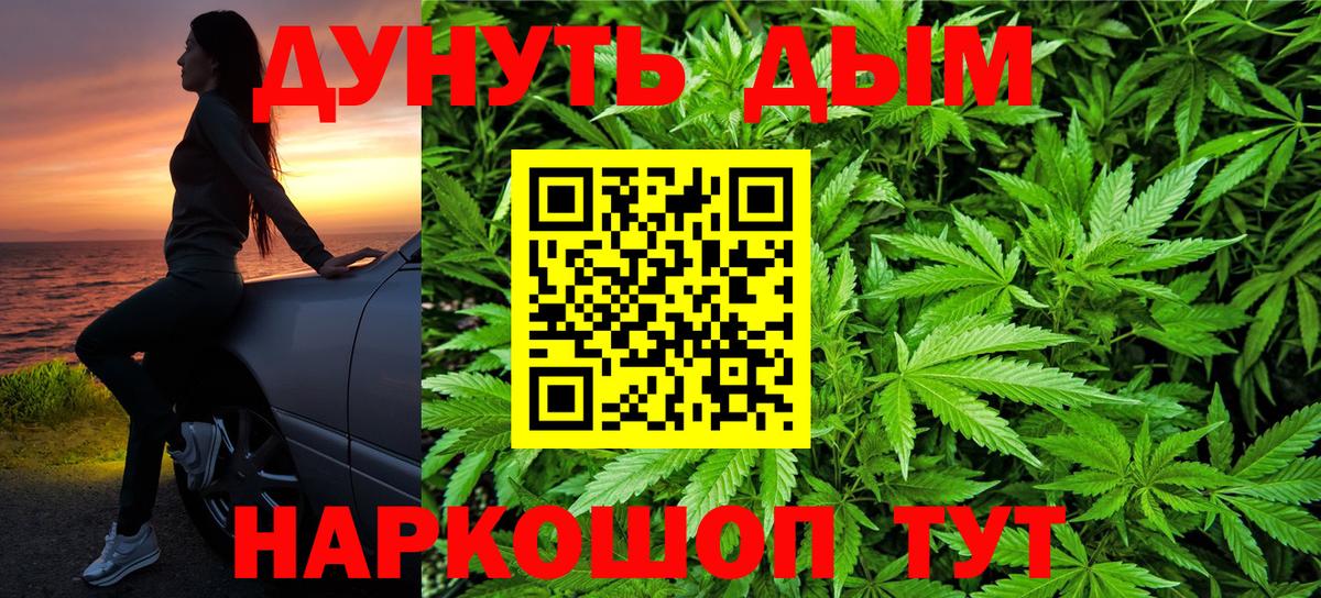 Бошки Шишки планчик Кызыл